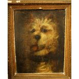 19th century English school - Study of a terrier's head, oil/oleograph on board, with Frost & Reed