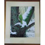 D M Teague - Green woodpecker, signed and dated 92, gouache, 44 x 34 cm, framed