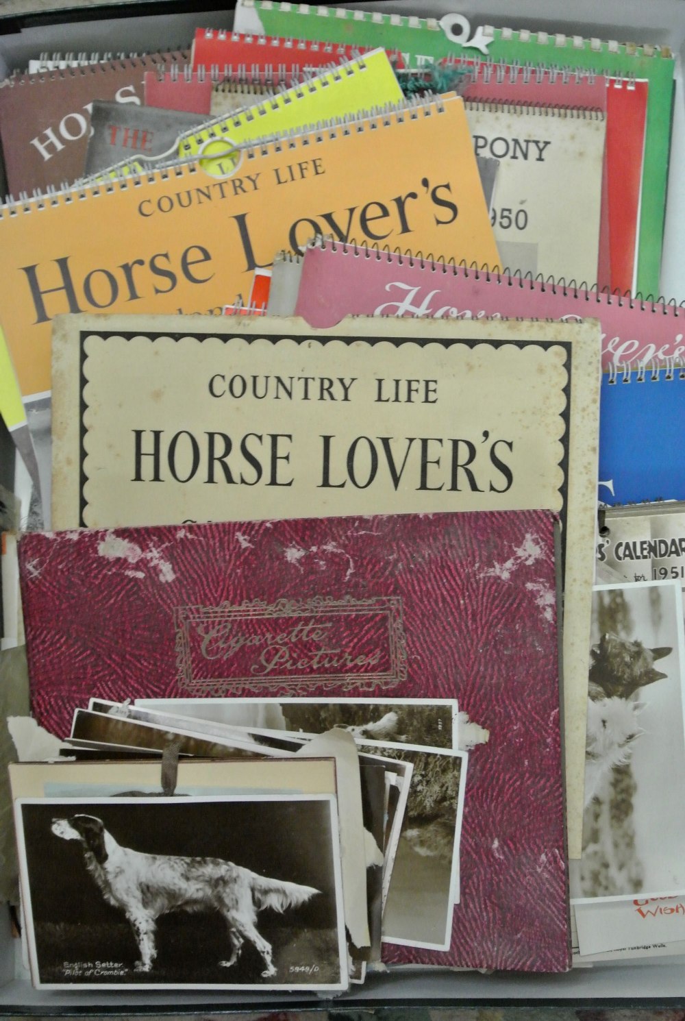 An extensive collection of vintage children's adventure books, many about horses, with original dust - Image 4 of 4