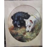 JC Curwen (19th century British school) - Study of a pair of terriers, watercolour and bodycolour,