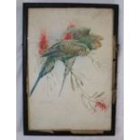 Winifred Austen (1876-1964) - Study of two budgerigar amongst foliage, watercolour, signed, 29 x