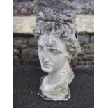 A weathered plaster bust of (AF), 50 cm high approx