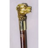 Bamboo type walking stick with carved dog head finial