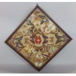 19th century glazed and framed butterfly diorama, 41 x 41cm