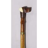 Interesting exotic timber turned walking stick with carved spaniel head finial with glass eyes