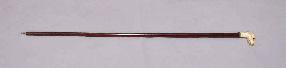 Slim Malacca walking cane with carved ivory type dog head finial, with glass eyes - Image 2 of 2