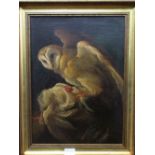 19th century school - Study of a barn owl with its prey, oil on canvas, unsigned, 37 x 26cm in