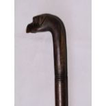 Single piece carved hardwood walking cane with bulldog head finial with glass eyes