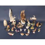 A collection of continental and other models of birds including a Hutschenreuther German model of