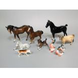 A collection of Beswick horses including a black Hackney horse (for restoration) a brown horse and