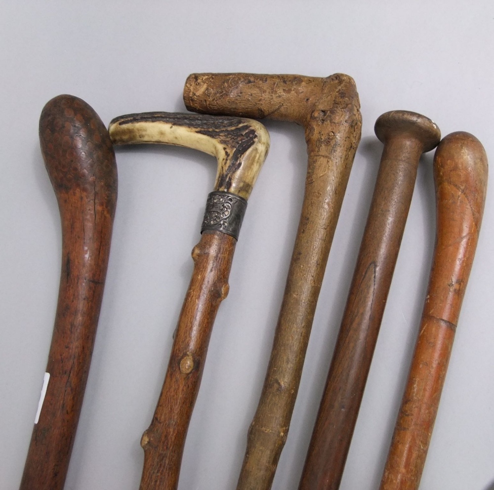 Collection of five walking sticks to include a Knob Kerrie and a horn handled hawthorn stick with - Image 2 of 2