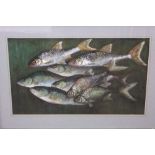 Denise Manning (20th century British school) - Study of fish, pastel and mixed media, signed, with