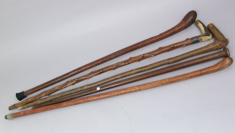 Collection of five walking sticks to include a Knob Kerrie and a horn handled hawthorn stick with