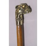 Malacca walking stick with cast brass humorous dog head finial with bone eyes