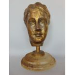 Gilt cast metal study of a ladies head upon a stepped circular perspex base, 20cm high