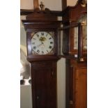 A bright cottage longcase clock, the square painted dial with exotic pheasant and shell spandrels