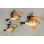 A graduated set of three Falconware wall plaques in the form of mallards in flight, maximum length