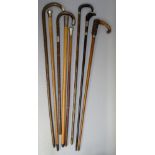 A COLLECTION OF SEVEN WALKING STICKS INCLUDING A C19th INDIAN SILVER HANDLED MALACCA WALKING