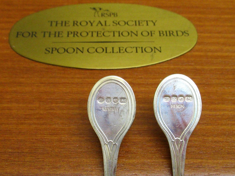 THE RSPB SILVER SPOON COLLECTION COMPRISING 12 SILVER SPOONS, EACH FINIAL WITH A GILT OVAL PANEL - Image 5 of 6