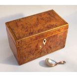 GEORGIAN SMALL BURR WALNUT TEA CADDY INLAID WITH EBONY, STRINGING, KINGWOOD AND BOX EDGING WITH A