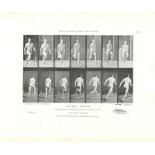 EADWEARD MUYBRIDGE - Athlete: Running