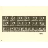 EADWEARD MUYBRIDGE - Men Boxing