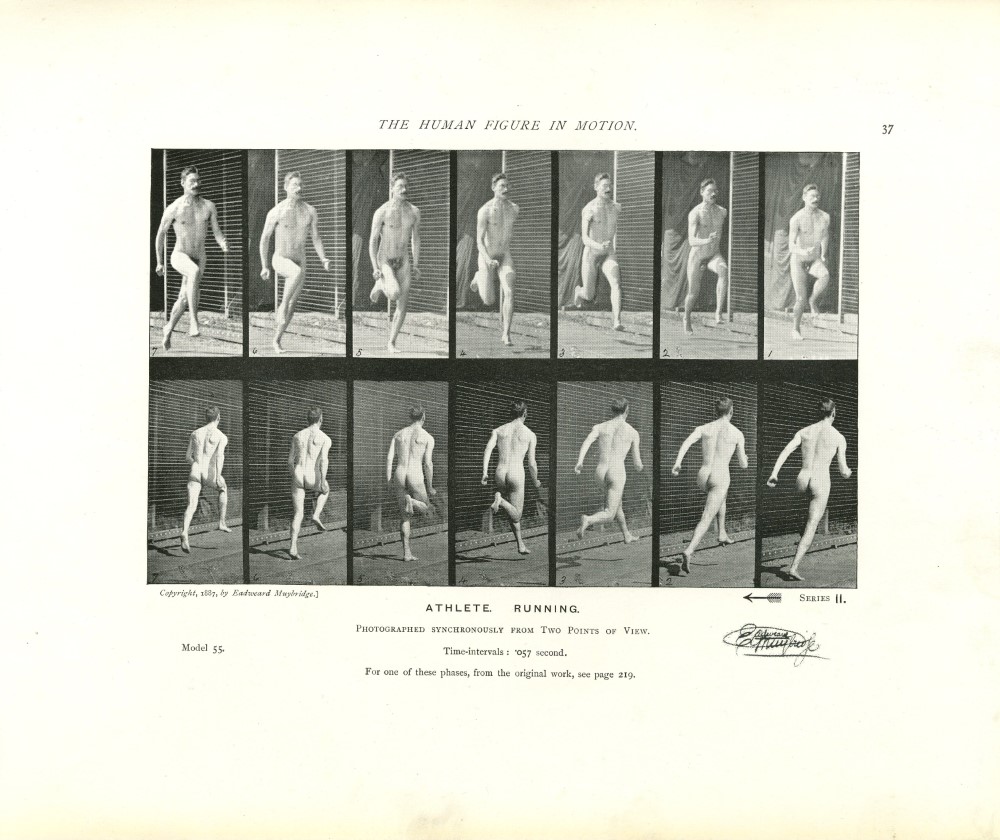 EADWEARD MUYBRIDGE - Athlete: Running