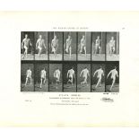 EADWEARD MUYBRIDGE - Athlete: Running