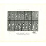 EADWEARD MUYBRIDGE - Athlete: Batting at Cricket