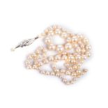 A STRAND OF PEARLS the graduated pearls on a Victorian style 14k white gold clasp centered with a