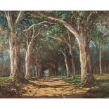 Gabriel Cornelis de Jongh (South African 1913-2004) AVENUE OF TREES signed and dated 1966 oil on