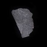 A GIBEON - IRON FINE OCTAHEDRITE IVA Location: Namibia Weight: 820.00g Found: 1837 TKW: over 100