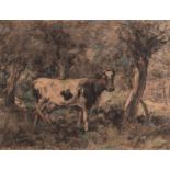 Anton Mauve (Dutch 1838-1888) FRESIAN COW signed charcoal and pastel on paper 36,5 by 47,5cm
