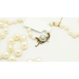 Single row pearl necklace, graduated pearls measuring 3.9-7.6mm, strung knotted with a gold, pearl