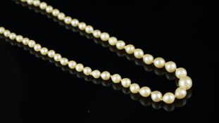 Single row pearl necklace, graduating pearls measuring 3.09-6.96, strung knotted on a diamond set