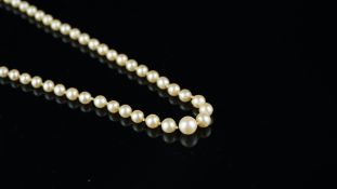 Single row pearl necklace, graduated pearls measuring 2.63-6.19mm, strung knotted on a silver