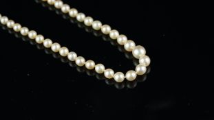 Single row pearl necklace, 2.89-6.65mm cultured pearl necklace, on an 18ct white gold diamond set