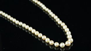 Single row pearl necklace, graduated pearls measuring 3.9-7.6mm, strung knotted with a gold, pearl