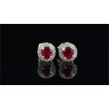 Ruby and diamond stud earrings, set with a central oval cut ruby, surrounded by round brilliant