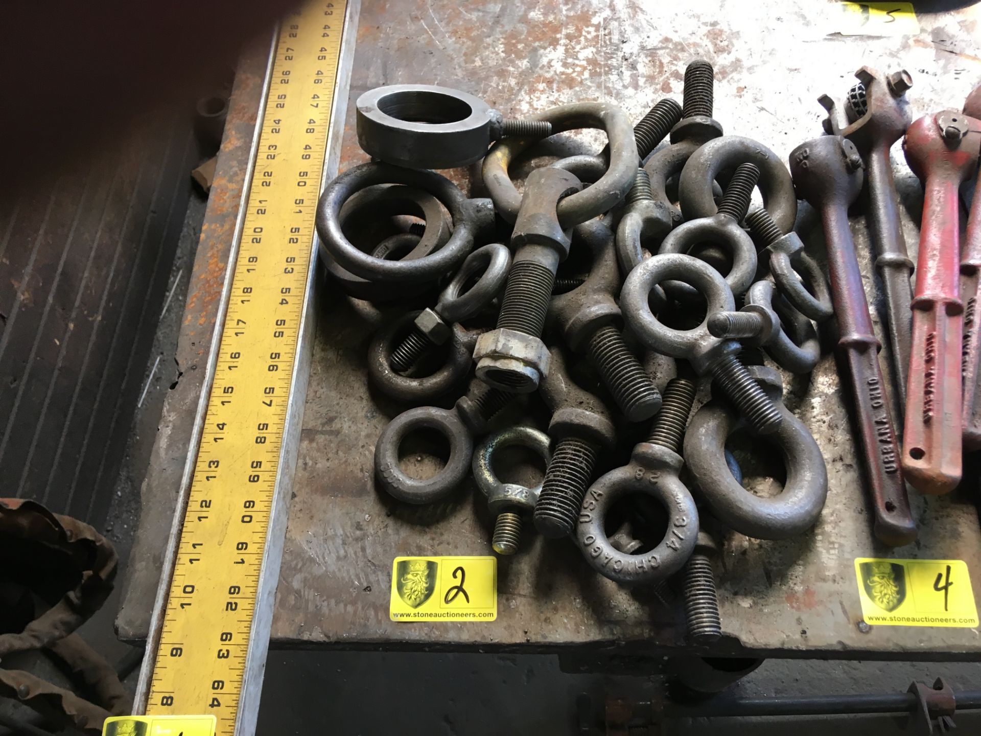 Lot of I-Bolts