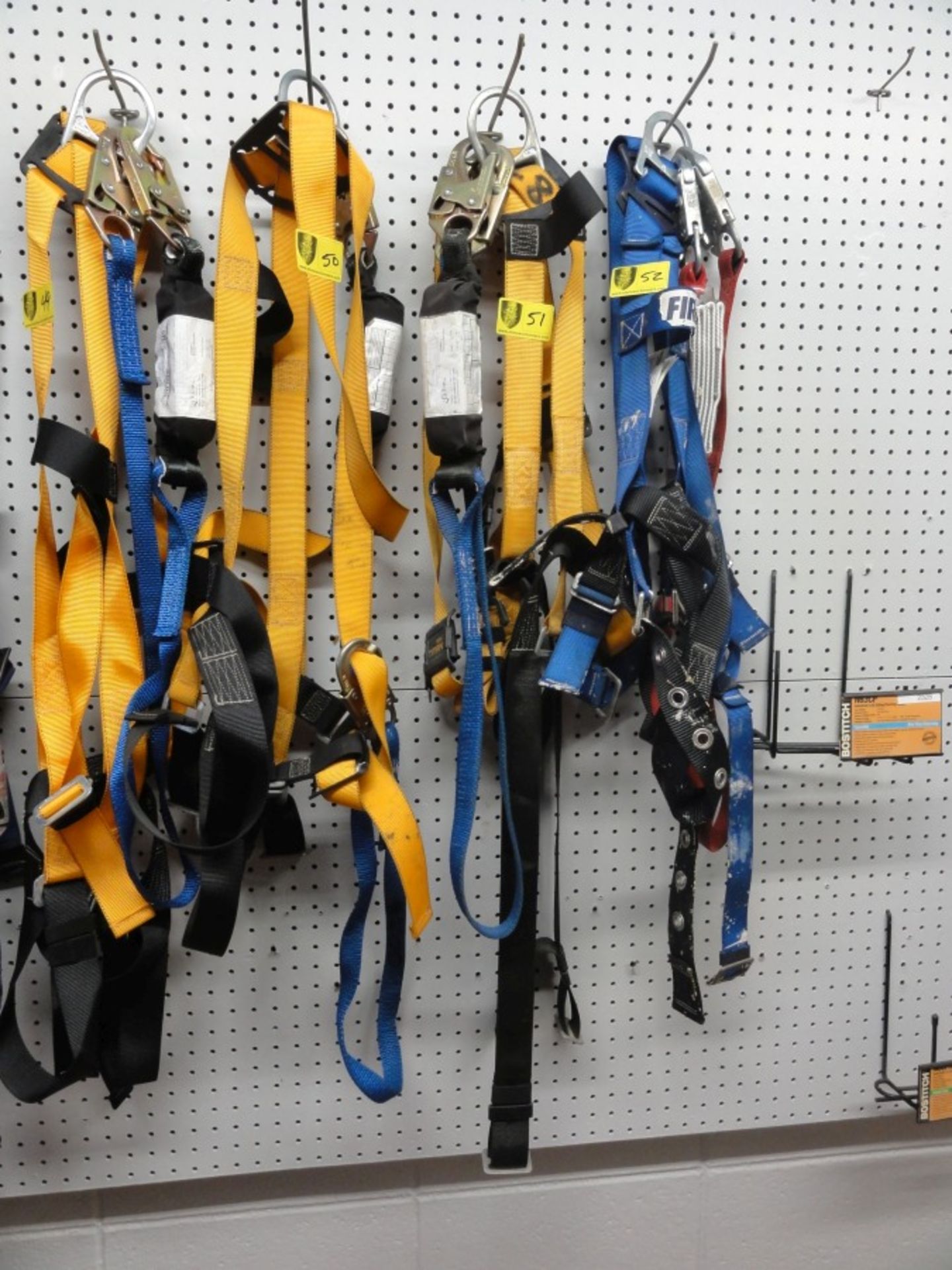 Safety Harness