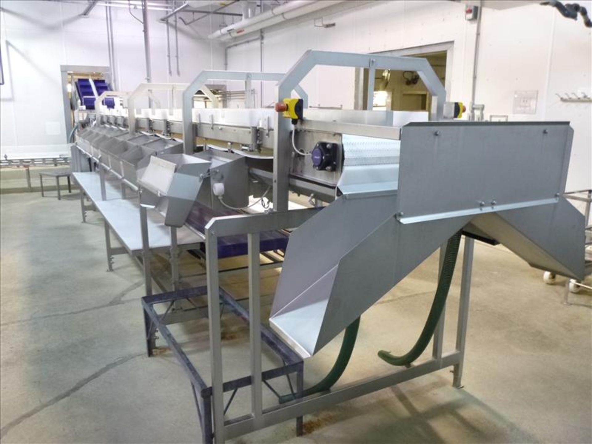 Marel double-sided s/s conveyorized 16-station wing & drum weighing & grading line, including: - ( - Image 4 of 9