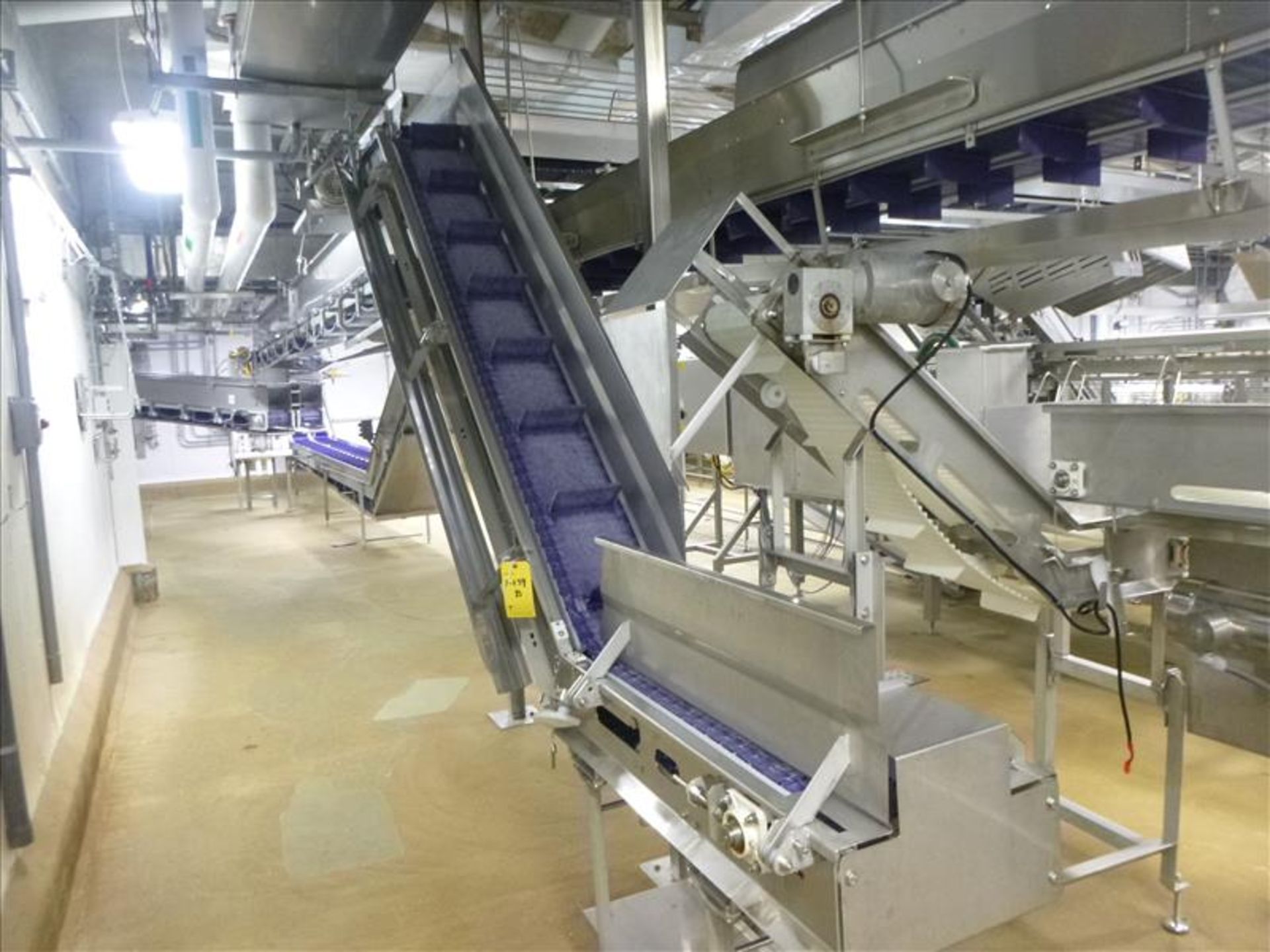 incline conveyor (upper deboning)