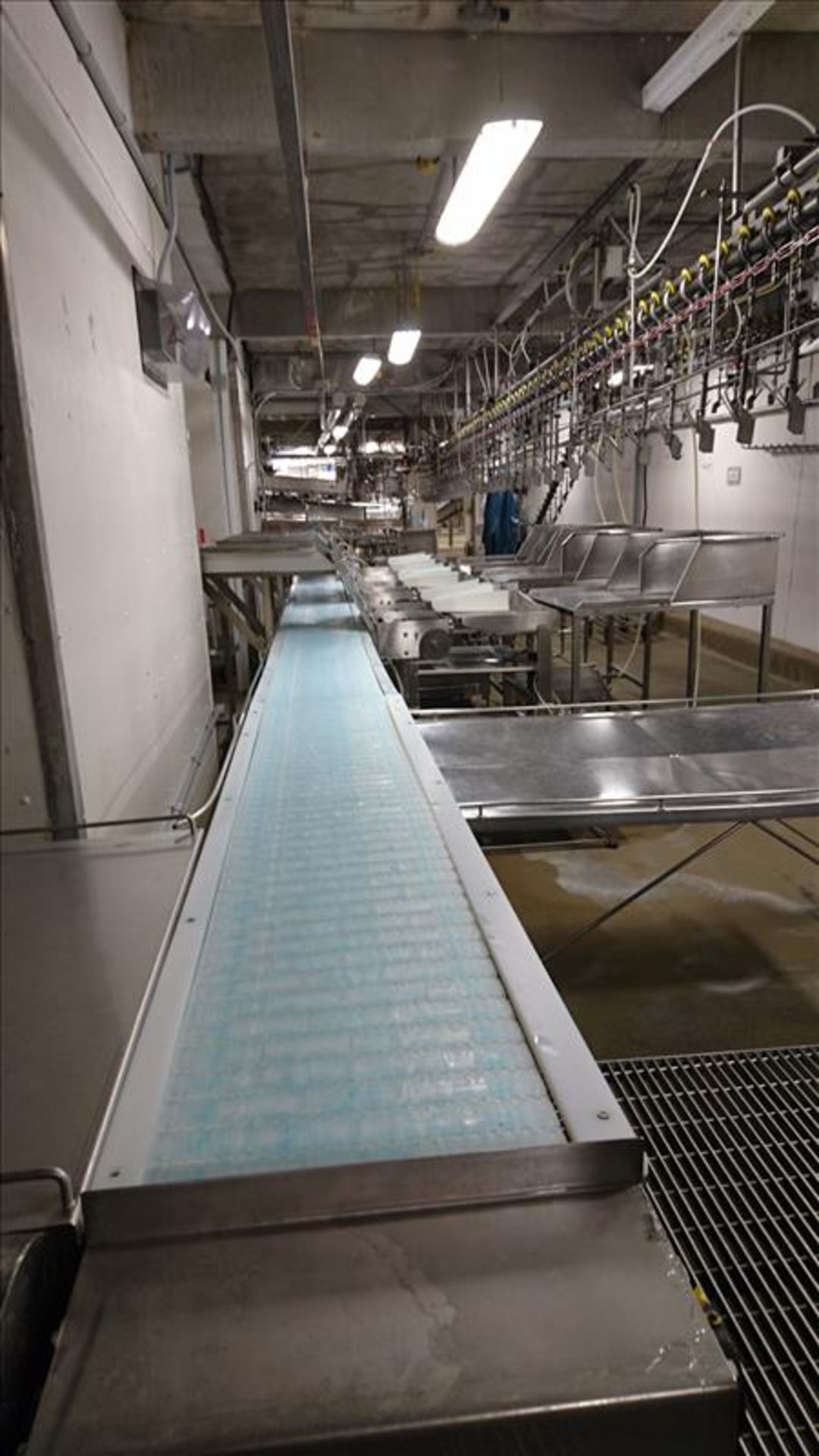 conveyor (brine tank, no. 3), 18 in. x 27 ft (further processing)