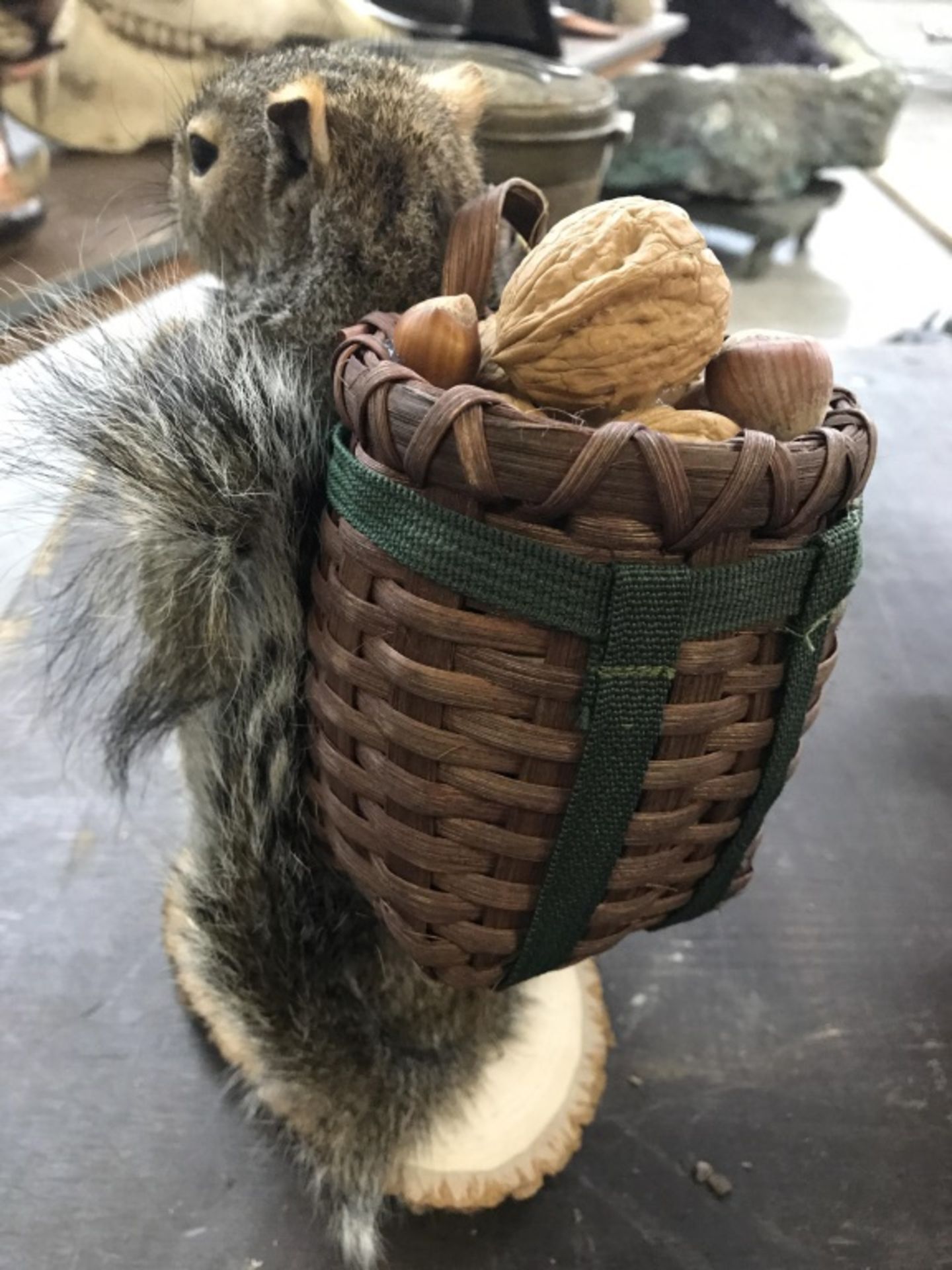 Squirrel, Back Packing - Image 11 of 13