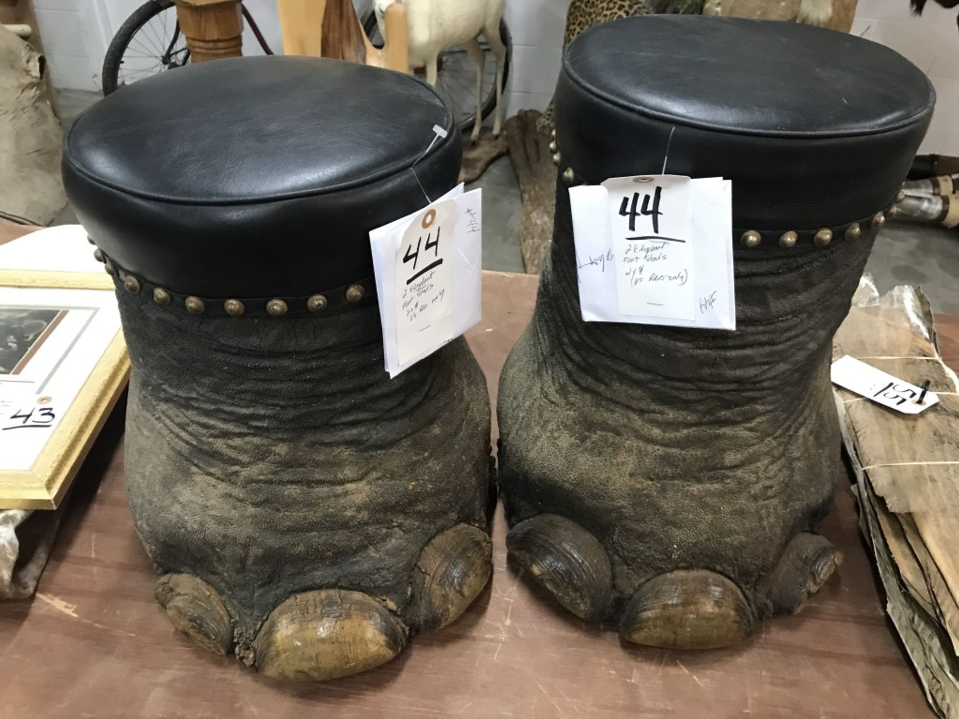 2 Elephant Foot Stools (2X$) (US Res Only) - Image 2 of 13