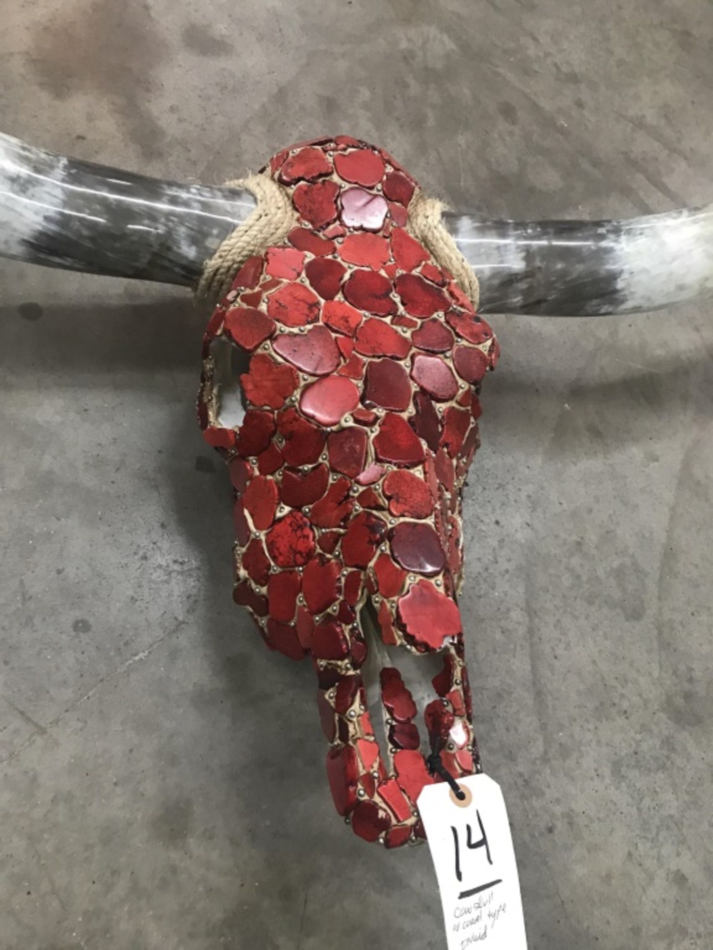 Cowskull w/Coral Color Inlay - Image 6 of 17