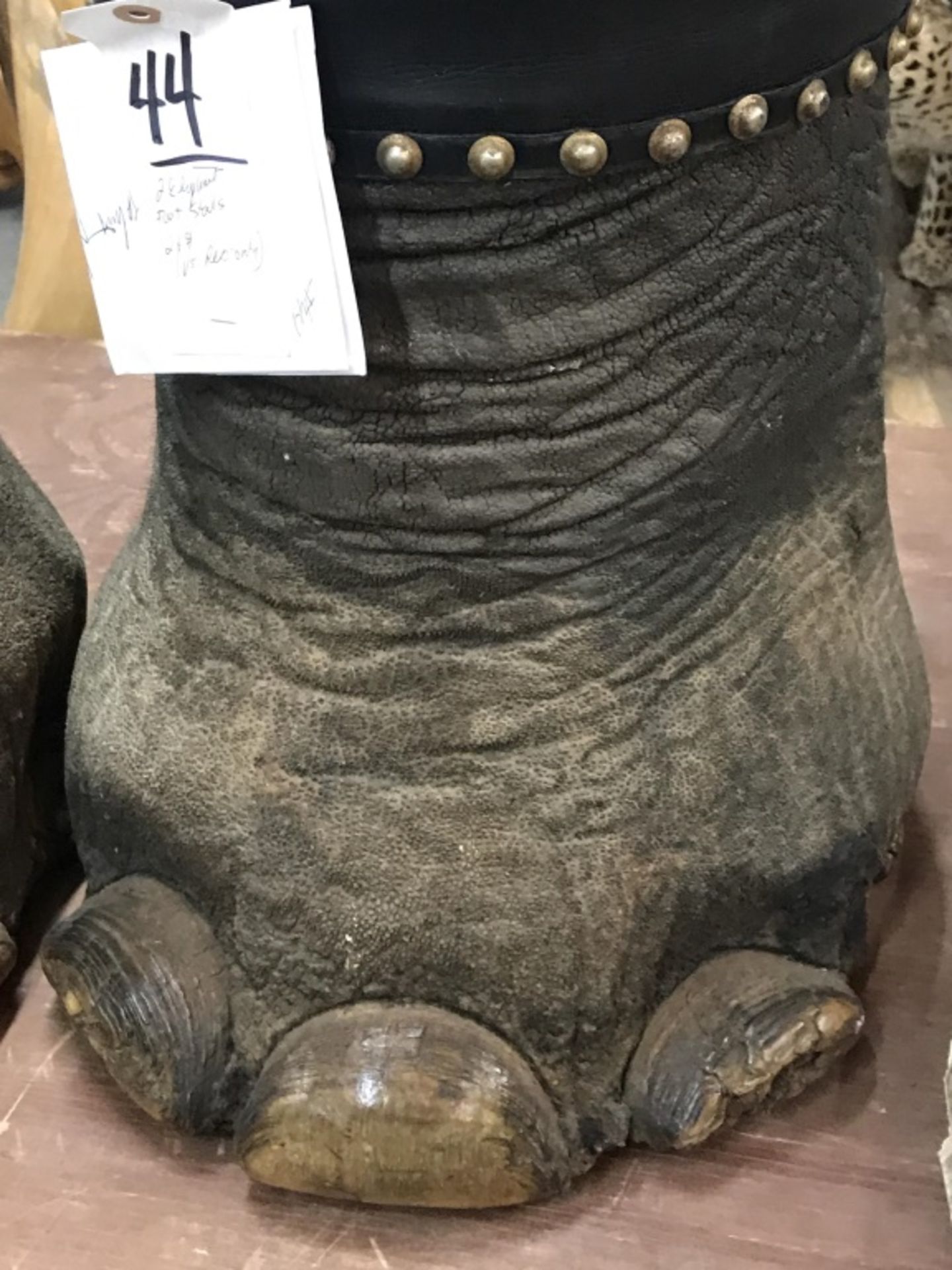 2 Elephant Foot Stools (2X$) (US Res Only) - Image 9 of 13