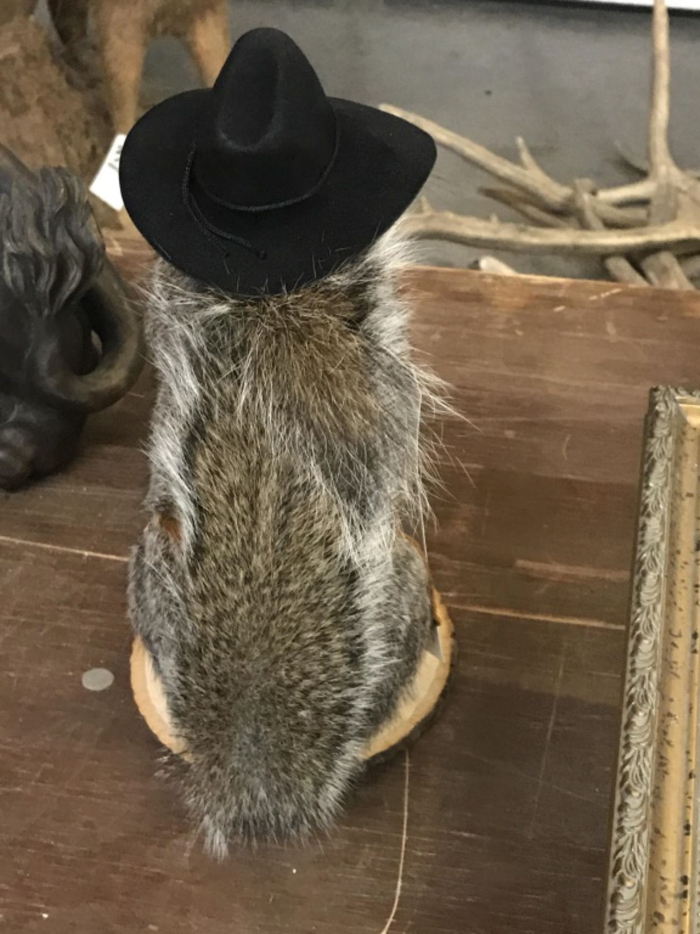Cowboy Squirrel - Image 15 of 17