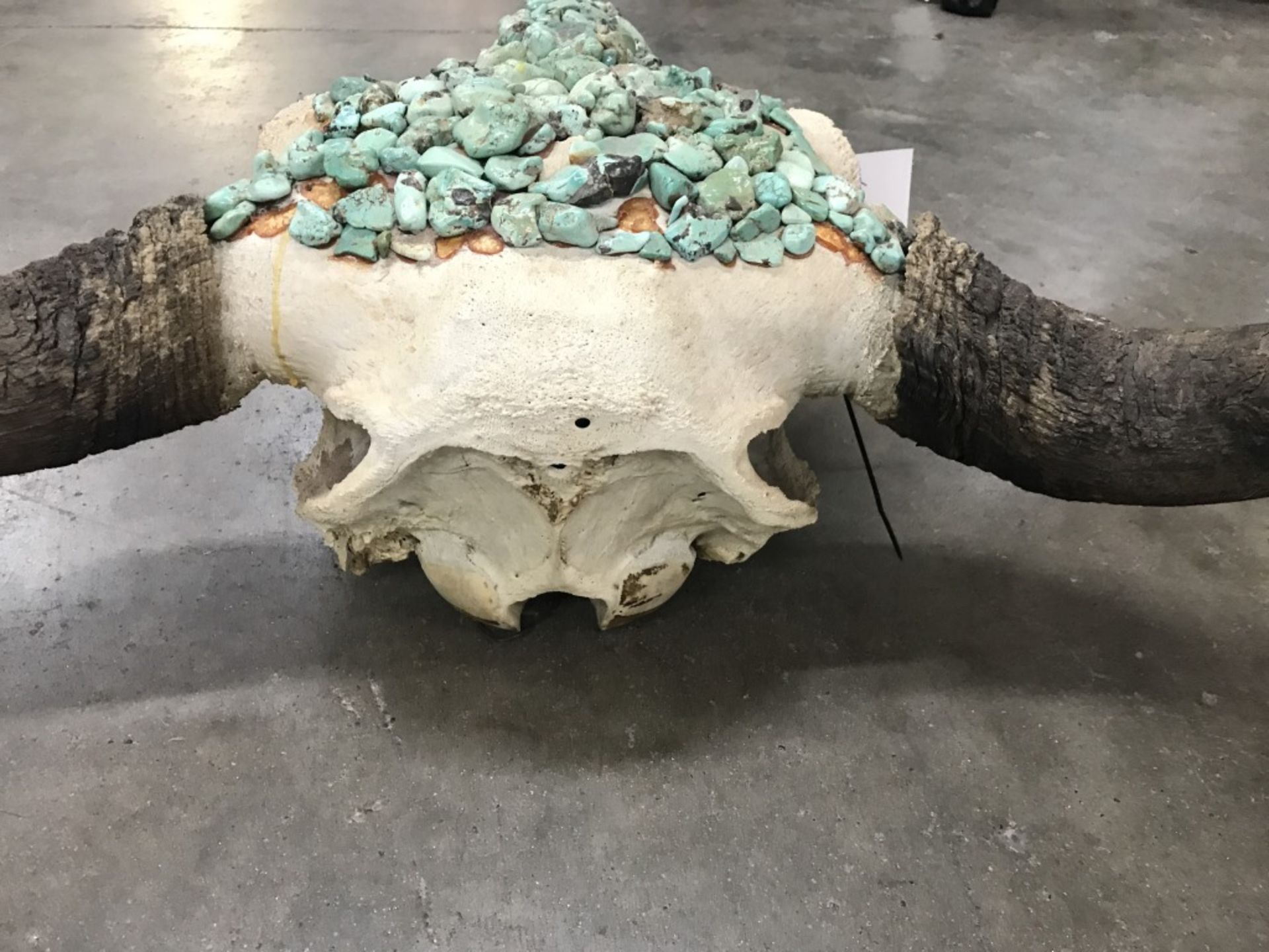 Huge Buffalo Skull w/ Turquoise - Image 12 of 13
